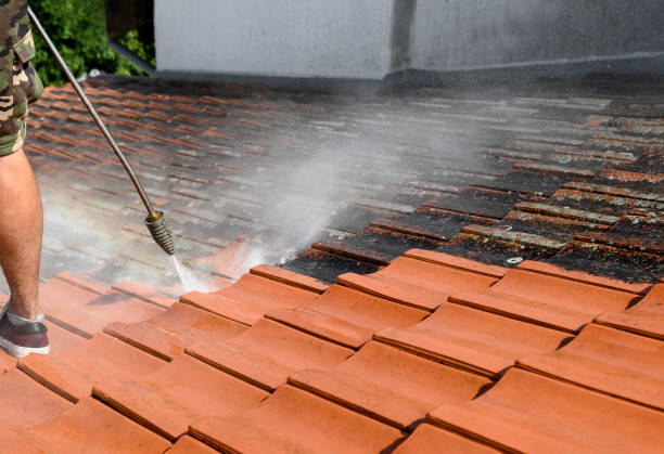 Best Commercial Pressure Washing  in Burton, SC