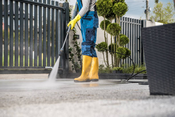 Best Pressure Washing Siding  in Burton, SC