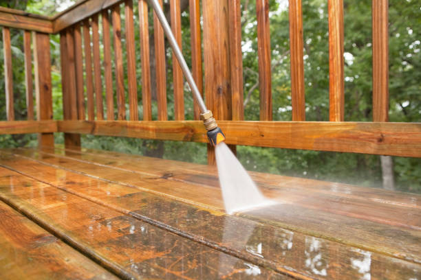 Best Exterior Home Cleaning  in Burton, SC