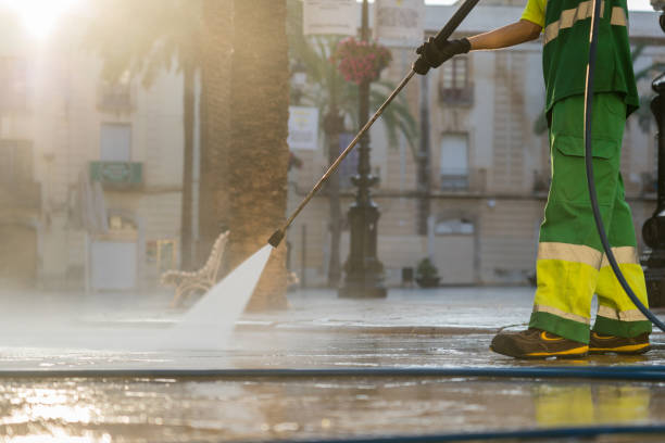 Best Roof Power Washing Services  in Burton, SC
