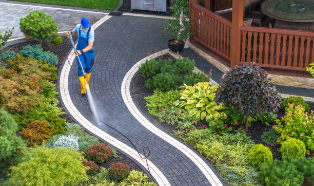 Best Power Washing Near Me  in Burton, SC