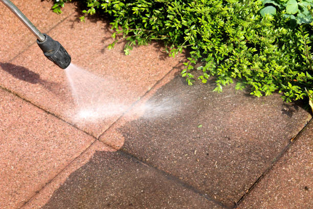 Best Best Pressure Washing Companies  in Burton, SC