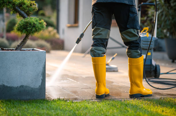 Best Roof Pressure Washing  in Burton, SC